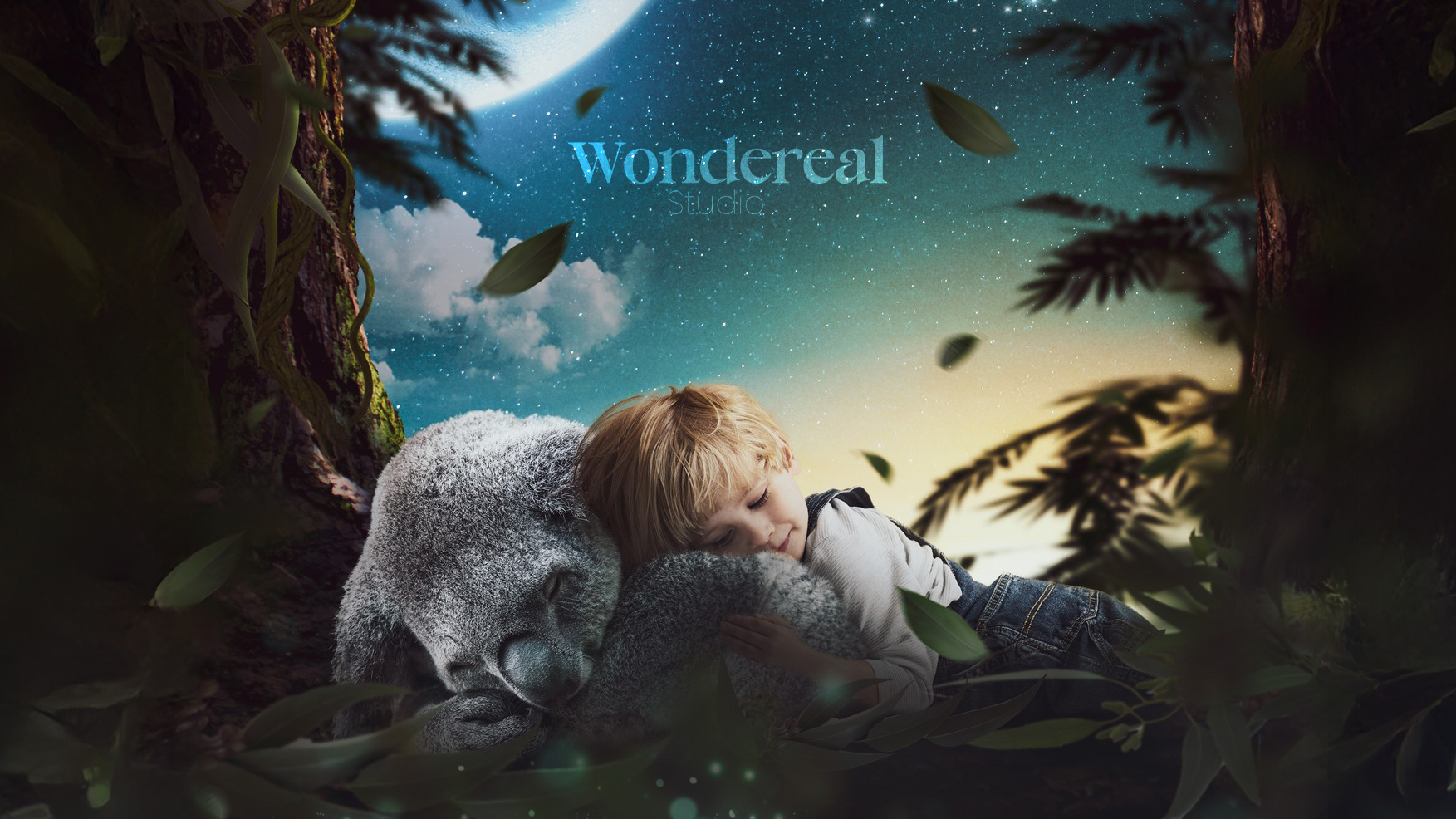 wondereal (10)